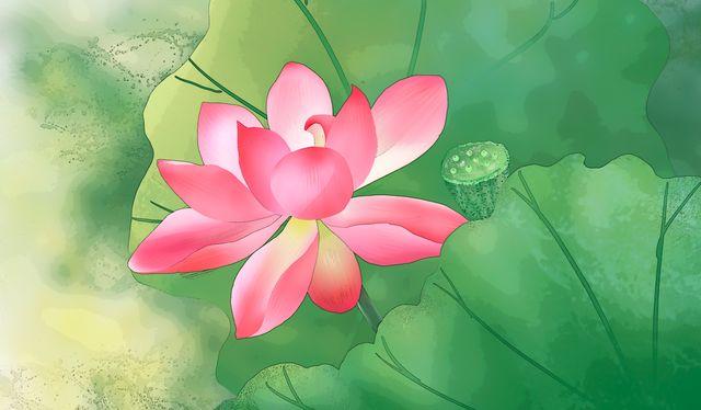 晚安美文180716：你若爱自己，莲开香满衣