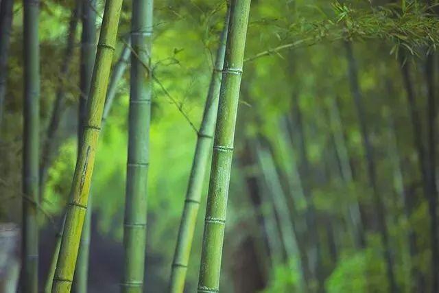 晚安美文180719：他人有过不究，于人有恩莫念
