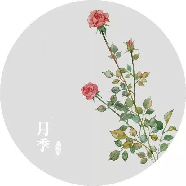 早安语录180720：或许彻彻底底绝望一次，才能重新再活一次