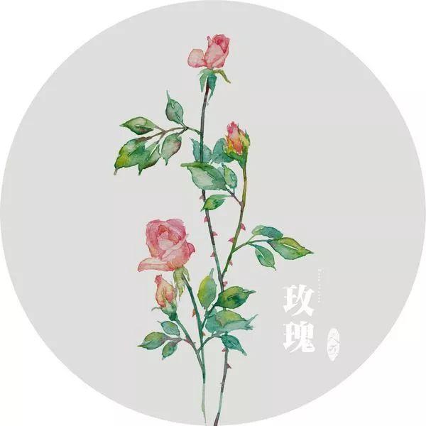 晚安句子180720：岁月极美，在于它必然的流逝