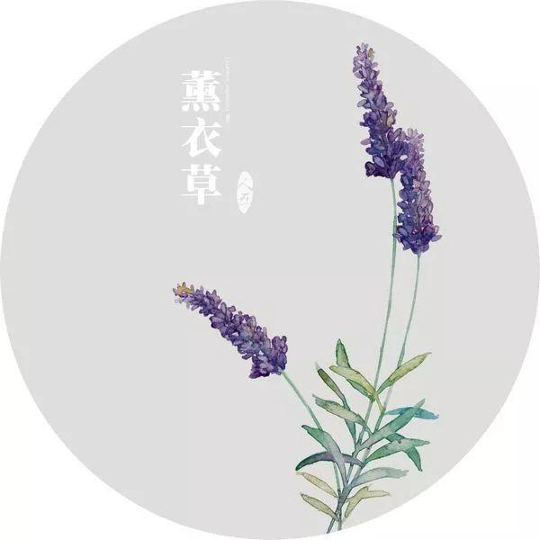 早安语录180720：或许彻彻底底绝望一次，才能重新再活一次