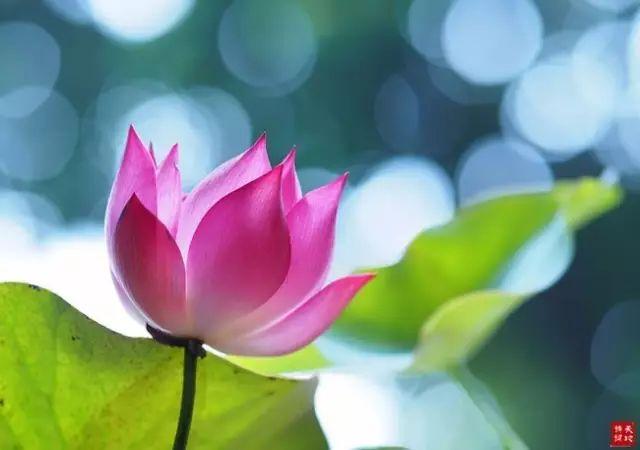 晚安的句子180723：好的爱情，永远是两个人的努力