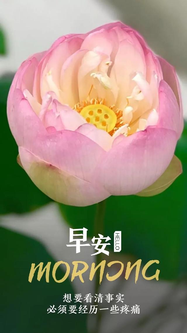 早安日签励志180724：最困难的时候，就是最接近成功的时候