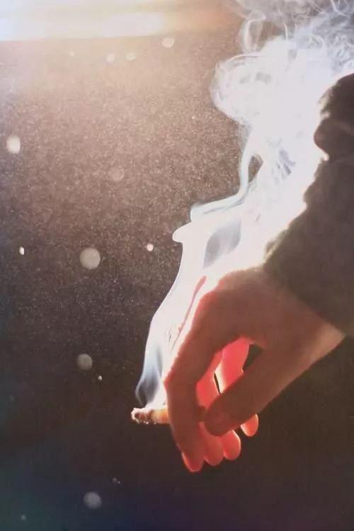 晚安的语录180728：最愚不可及的事，莫过于胸怀大志却虚掷光阴