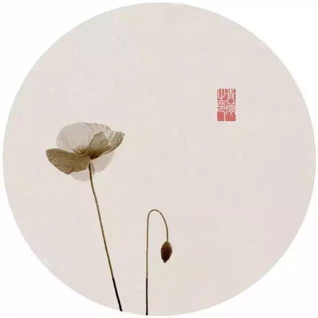 早安的语句180803：有多少繁花满枝，就会有多少秋叶零落