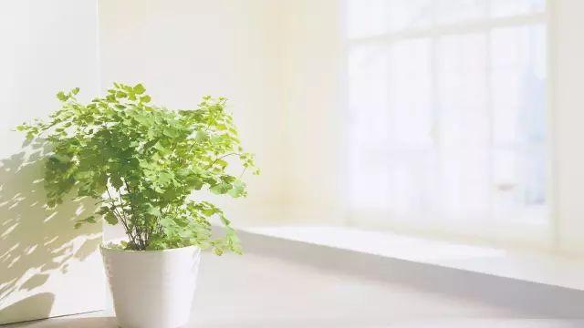 晚安的心情句子180804：很多离开，只是为了被挽留