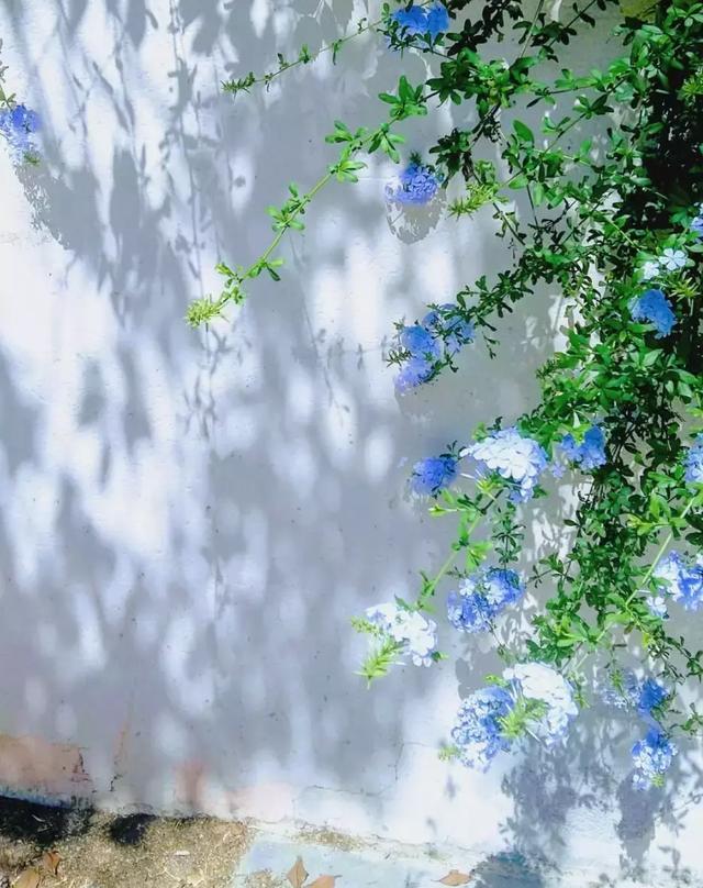 晚安的句子180907：从我变成我们的人生，想想就很棒