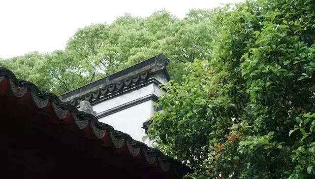 白露美文寄语：冰心一点润清秋