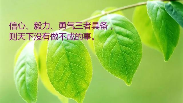 励志早安心语180920：那份义无反顾的历程，就是有滋有味的人生