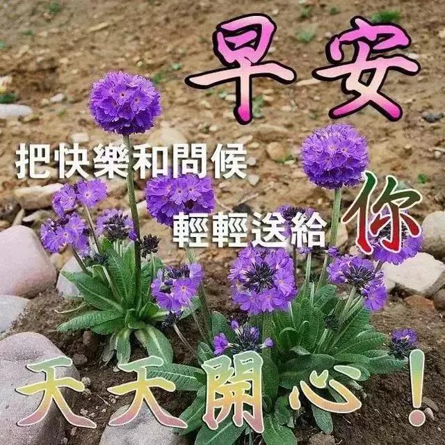 早晨问候语大全，早晨好表情图片