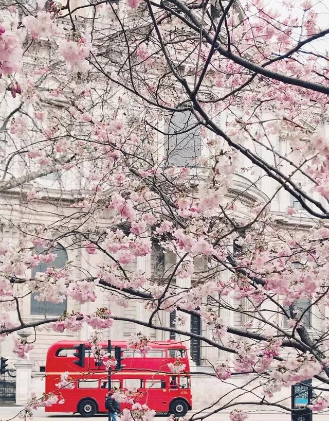 晚安好句子180913：不要垂头丧气，显矮