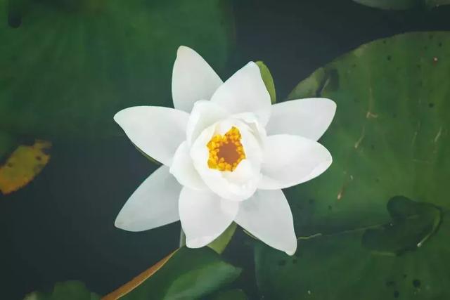 早安心灵鸡汤180913：时间不会说谎，说的都是真相