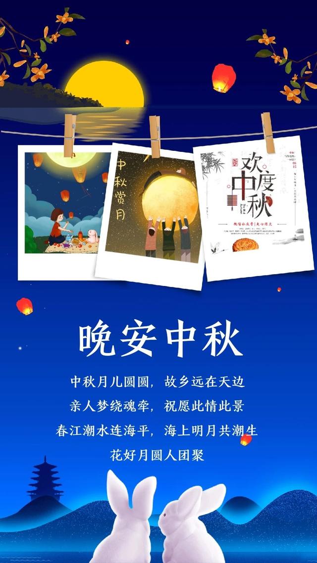 晚安心语180925：白茶清欢无别事，温柔只给意中人
