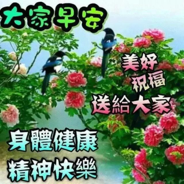 早上好问候语加图片带字