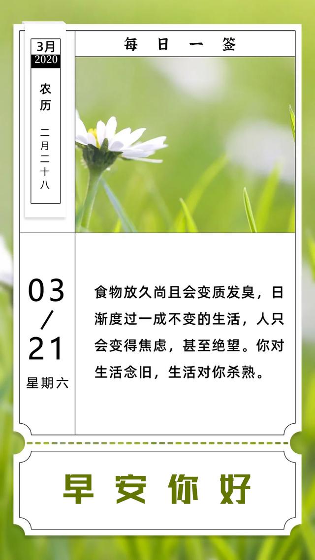 周末早安日签图片正能量带文字：顺风适合行走，逆风更适合飞翔