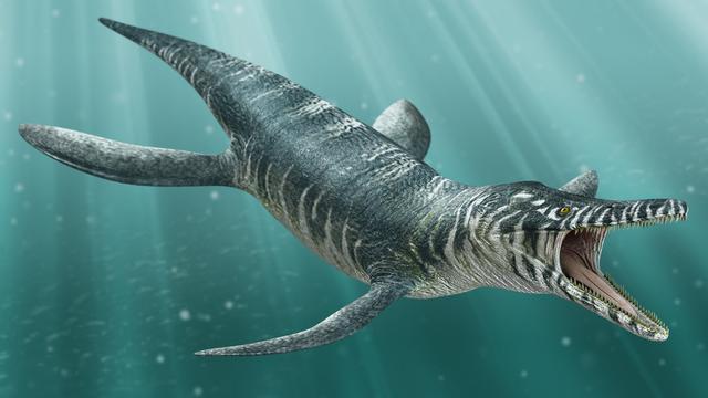 远古十大霸主恐龙时代的海洋霸主有哪些是怎样的