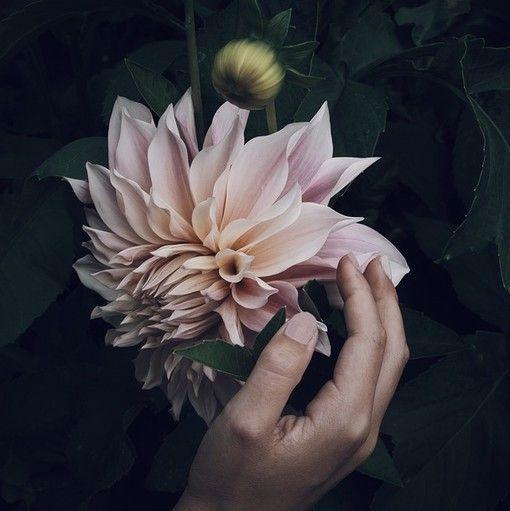 6月早安心语心情：别惯坏了不知领情的人，别喂饱了不懂回馈的心