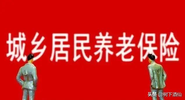 农民的养老保险每月只有一百多养老金请问老了选什么方式养老