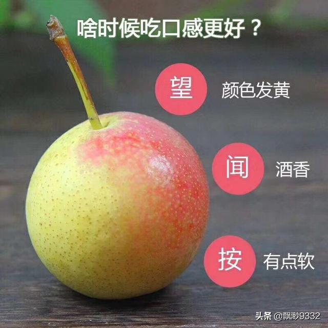 水果中的南果梨您吃过吗？感觉怎么样？