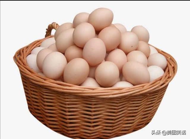 最近老听网上说母鸡蛋鸡蛋分公母吗为什么