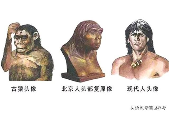 北京山顶洞人元谋人或者蓝田人是不是中国人的祖先为什么