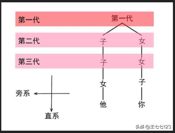 亲生兄弟姐妹算直系亲属还是旁系亲属