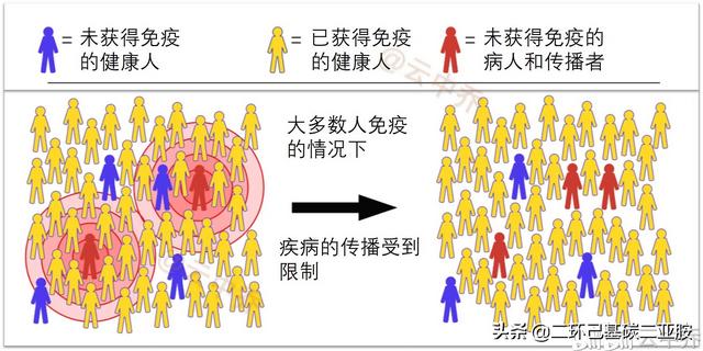 群体免疫是否错了如果西方国家产生了群体免疫中国该怎么办