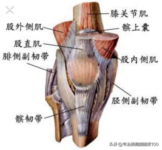 运动后膝盖周围的肌肉酸痛正常吗