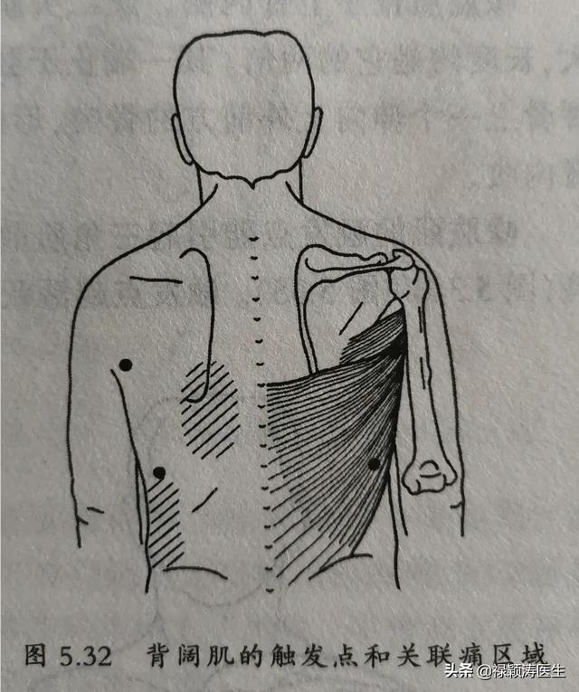 左肩胛骨下边的后背疼是什么原因