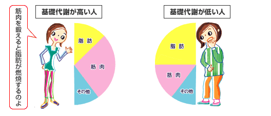 谁知道基础代谢差怎么改善