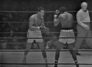 300_220gif 动态图 动图