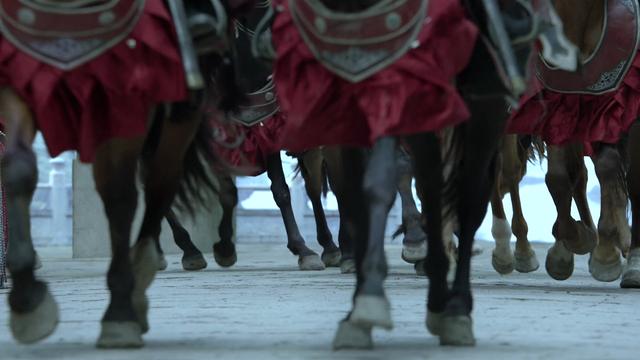 庆余年黑骑与红甲骑士都不如范建的部队厉害吗
