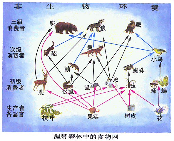 你认为美国的衰落是必然吗为什么