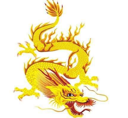 属龙人对父母孝顺吗