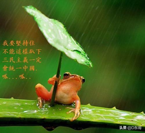 如何理解井蛙不可语海夏虫不可语冰这句话的含义