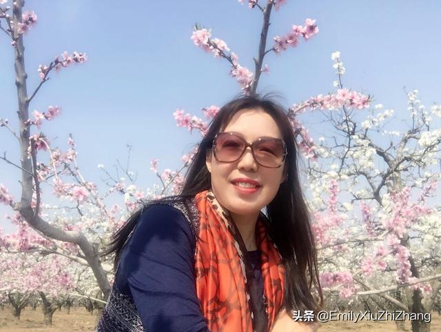 头条问答 50岁左右的女人用什么微信头像既不失端庄又显得可爱?