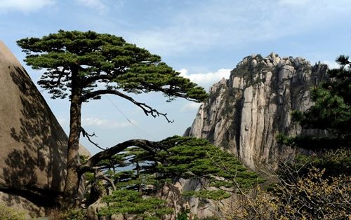 安徽黄山旅游攻略一日游_元旦去黄山