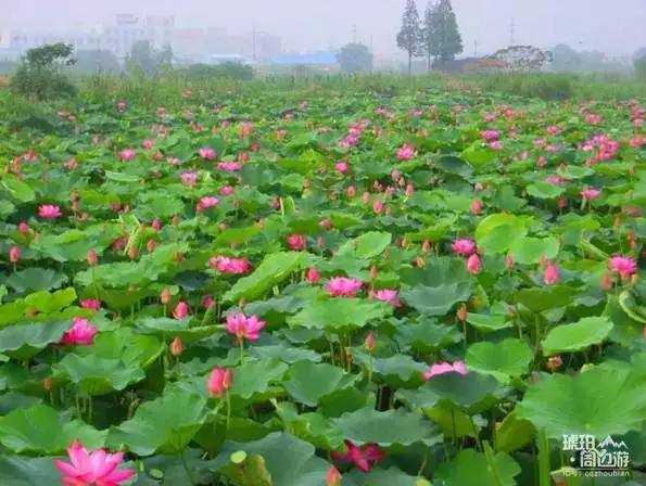 重慶北碚8個(gè)非去不可的地方，約起？