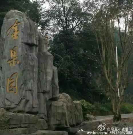 重慶北碚8個(gè)非去不可的地方，約起？