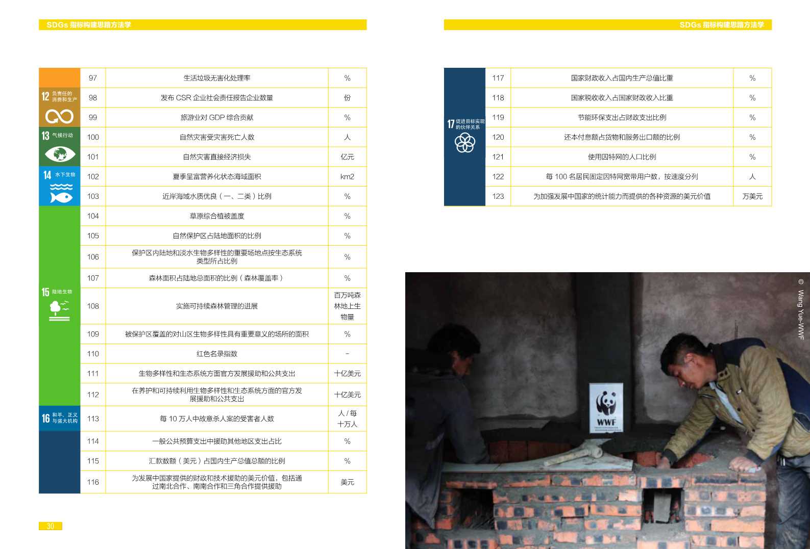 中国可持续发展目标(SDGs)指标构建及进展评估报告2018
