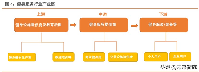 智能健身行业专题报告：智能应用环境下的家庭健身将如何发展
