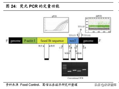 医疗行业专题：核酸分子诊断龙头凯普生物深度解析