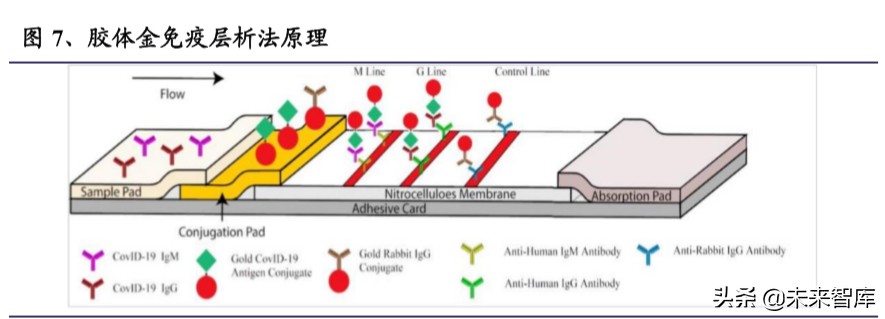 新冠检测行业全景分析及重点投资标的