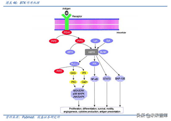 医药行业龙头恒瑞医药深度解析（74页）
