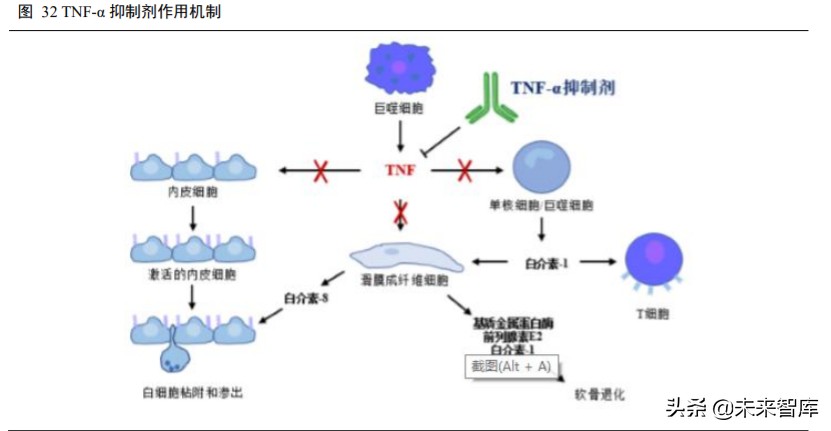 高端生物药之单抗行业深度报告
