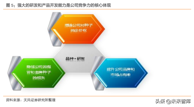 种子行业专题报告：转基因育种放开是否改变种业竞争格局？
