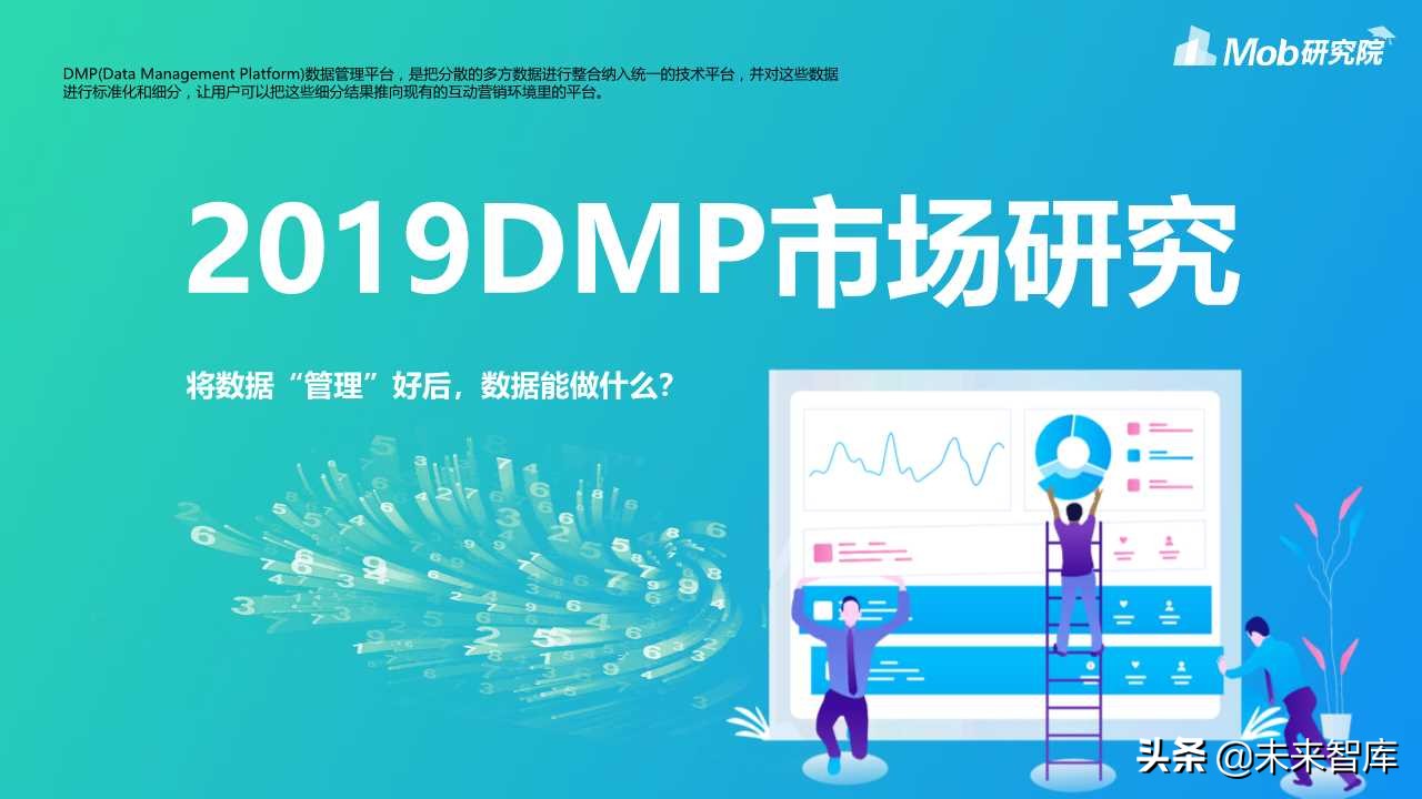 2019数据管理平台DMP市场研究