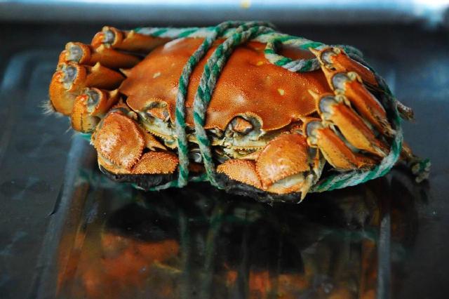 蘇州的螃蟹都是陽澄湖的嗎_蘇州吃陽澄湖大閘蟹的地方