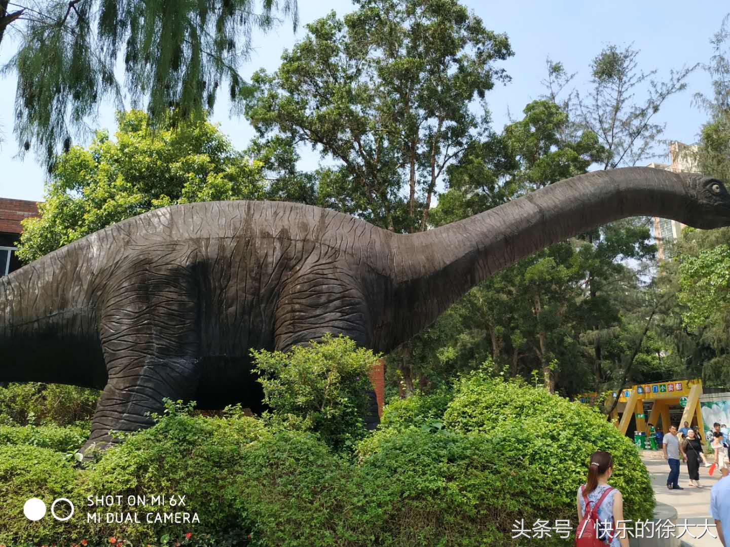 暑假游玩好去處，廣州動物園看動物