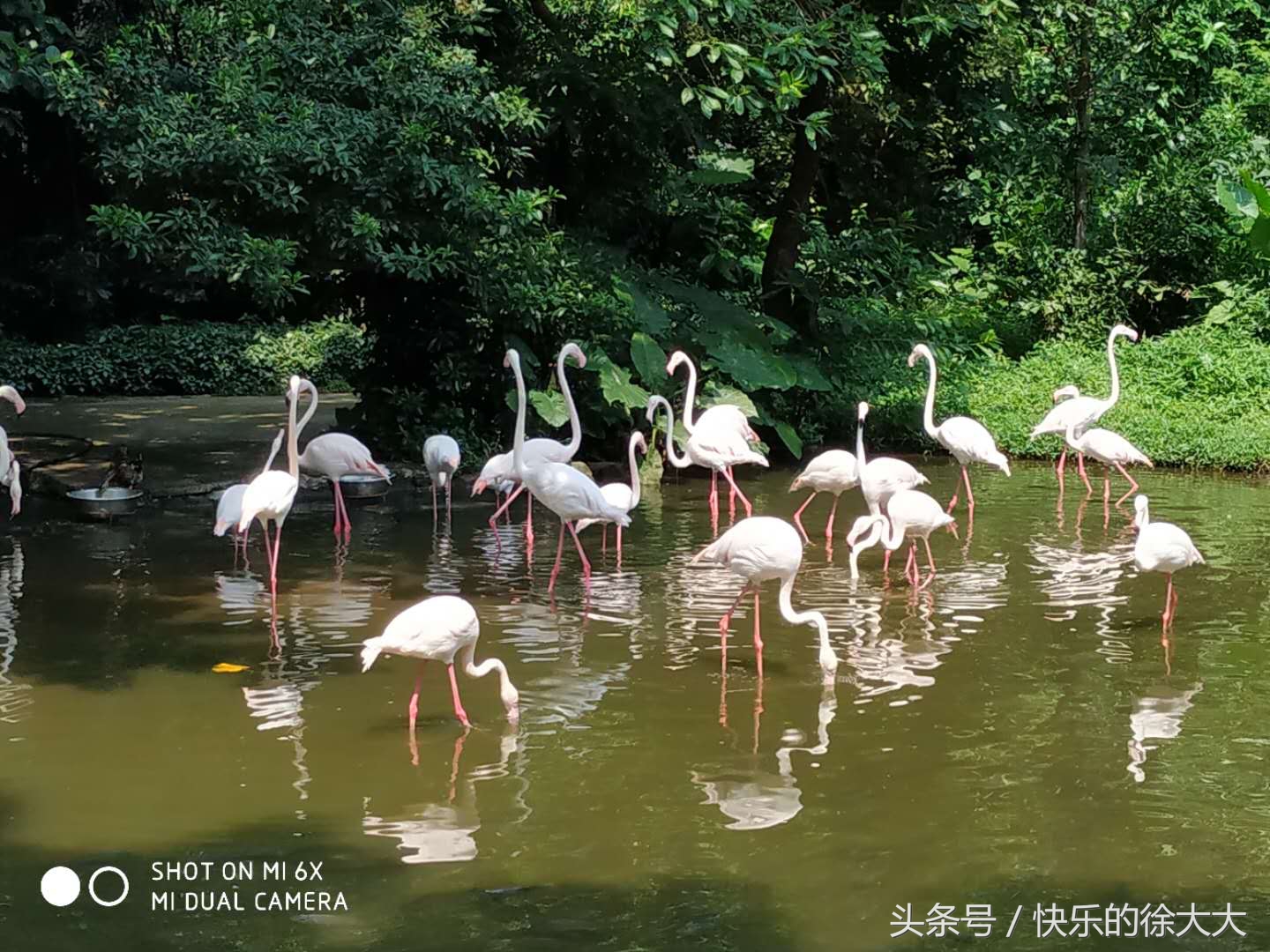 暑假游玩好去處，廣州動物園看動物